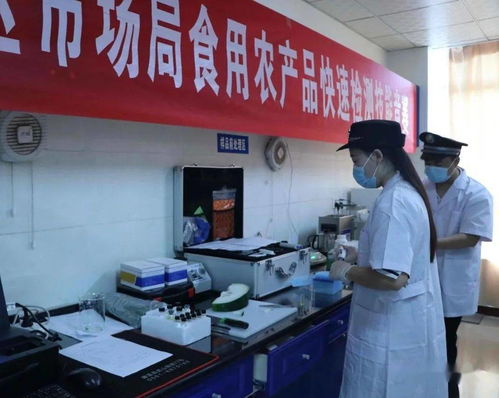 食品安全 區市場局 食用農產品快速檢測技能競賽 檢驗實戰能力
